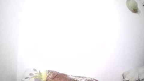 mina smith online show from February 26, 2:42 pm