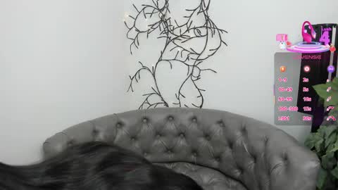 Allison online show from February 27, 11:28 am