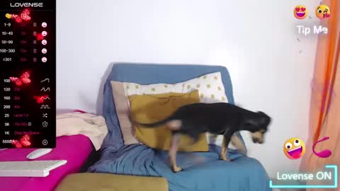 Ashley online show from March 7, 2:56 pm