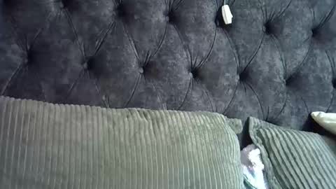 Miss  online show from November 14, 8:22 pm