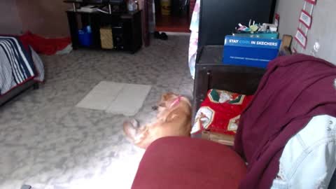 Maria Gomezz online show from April 7, 5:37 pm