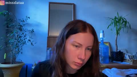 Zlata online show from November 15, 11:34 am