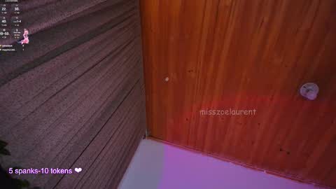 Snapshot of misszoelaurent chatting on October 17, 10:58 pm Zoe OF misszoelaurent online show from October 17, 10:58 pm