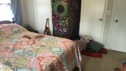 MistyVale online show from January 21, 4:48 pm