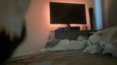 mitchellw7752 online show from December 31, 12:57 pm