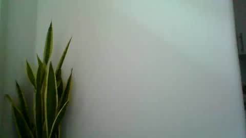 mollypepe online show from September 9, 9:42 am