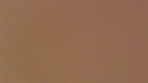 moma1111 online show from April 11, 4:22 pm