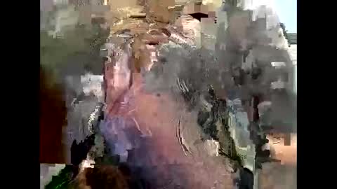 Richard Sheridan online show from September 28, 9:57 pm