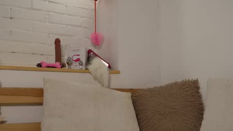 monicaasis online show from February 17, 12:21 am