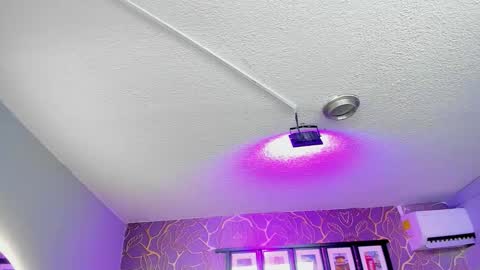   online show from January 6, 3:54 am