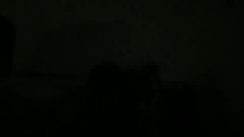 Montana Ridge online show from November 4, 6:37 am