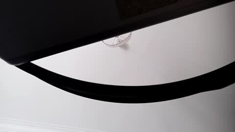 moonandshadow online show from March 15, 4:54 pm