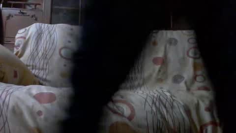 Nomadu online show from February 4, 10:43 am