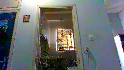 mppempis81 online show from February 3, 6:40 am