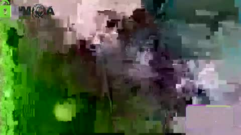 chris and Mr. Kinky online show from February 25, 7:39 pm