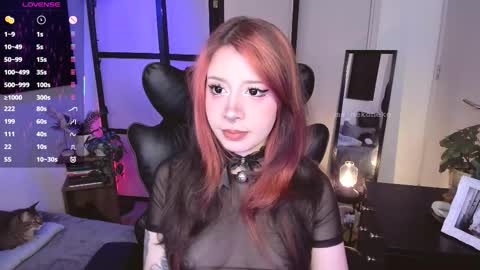      schedule monday tuesday wednesday thursday - sunday  online show from March 10, 11:07 pm