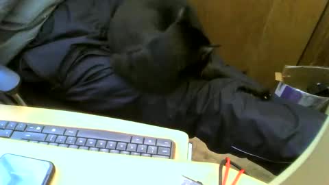 muller520 online show from September 12, 3:03 pm