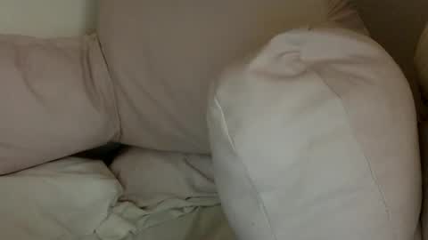   online show from December 29, 10:03 pm