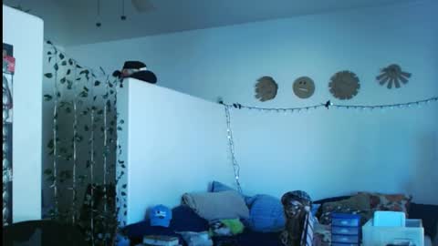 Snapshot of mycock4u247 chatting on March 2, 9:43 pm LA MARIPOSA DE MARICOPA online show from March 2, 9:43 pm