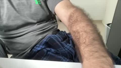 myStallion online show from November 24, 8:24 am