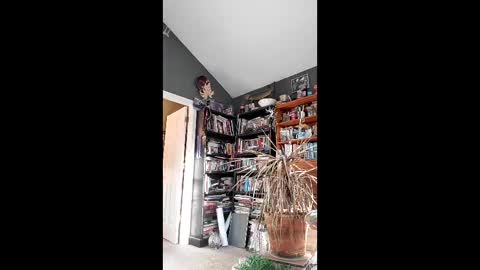 Naked stripper. 69. online show from April 12, 1:09 am