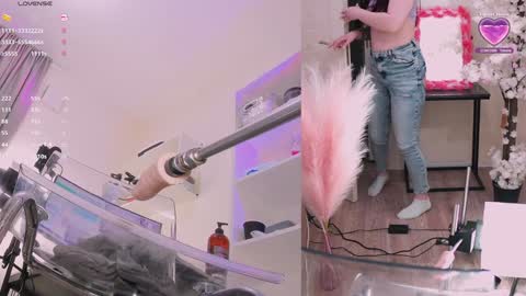 INSTAGRAM     bekkercat  online show from February 7, 2:04 pm