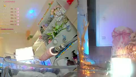 INSTAGRAM     bekkercat  online show from April 2, 10:55 am