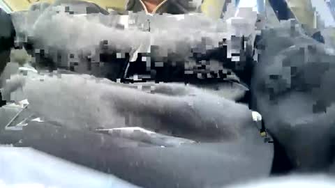 Snapshot of narkotyk1991 chatting on October 19, 6:40 am NarKoTyK91 online show from October 19, 6:40 am