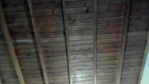 Nasha online show from November 21, 10:41 pm