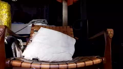 Haven online show from April 20, 9:23 am