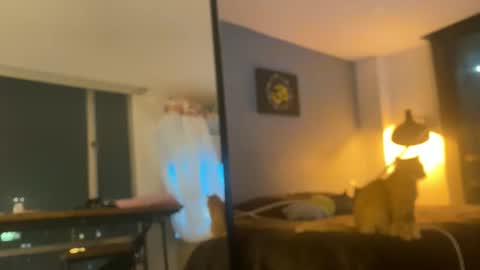     online show from October 30, 1:06 am