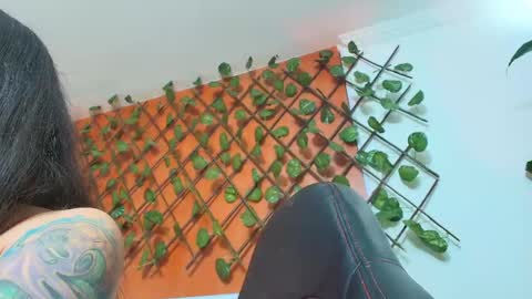 Kitten online show from April 14, 11:46 am