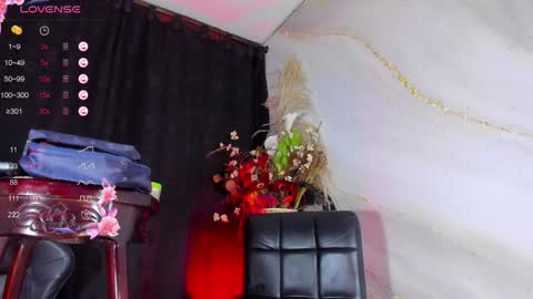 Snapshot of naughty_lizeth chatting on December 15, 10:04 pm lizeth online show from December 15, 10:04 pm