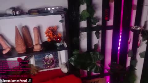 Snapshot of nauthy_jason chatting on December 3, 4:33 pm   JOIN NOW BEBE online show from December 3, 4:33 pm