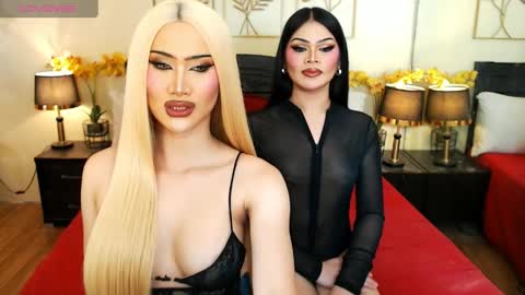 F R A N Z I A online show from April 2, 7:54 pm