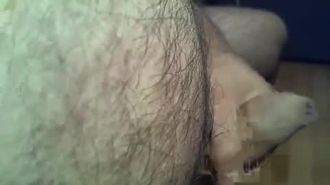 ncbncb online show from November 16, 2:41 pm