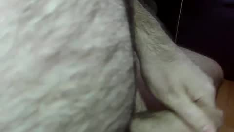 ncbncb online show from January 11, 4:46 pm