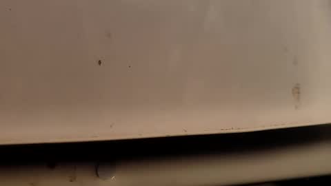 deved online show from December 22, 8:10 am