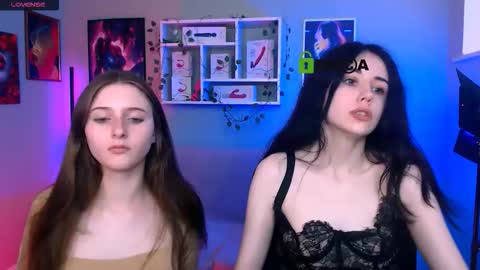 Meow online show from September 12, 1:13 pm