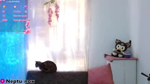 Neptu noxx online show from January 31, 9:48 pm