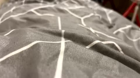 nesquick741960 online show from March 5, 12:03 pm