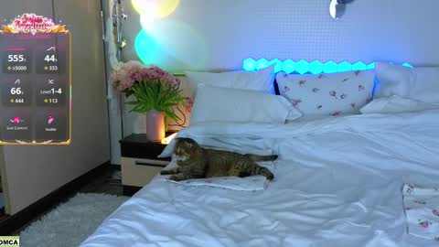 never give up  online show from March 17, 12:10 pm