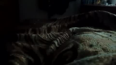 Matt online show from December 23, 3:34 am