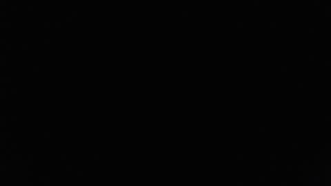 Lilly  online show from February 23, 3:29 pm