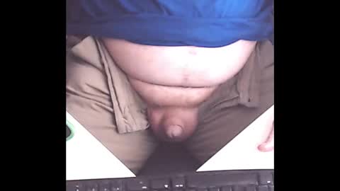 newforestpony online show from September 12, 10:17 am