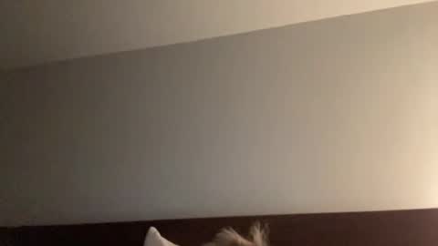 Snapshot of nice_gentle_naughty chatting on December 13, 11:34 am Nice Gentle Naughty online show from December 13, 11:34 am