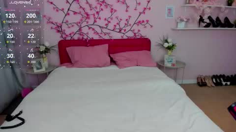 Niki online show from November 9, 8:18 am