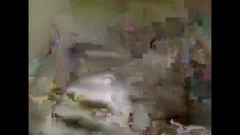 Nick online show from January 5, 2:08 pm