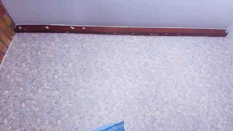 Nicol online show from November 28, 3:25 am