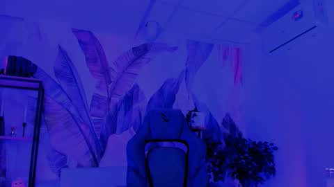 Nellie online show from September 23, 8:19 am